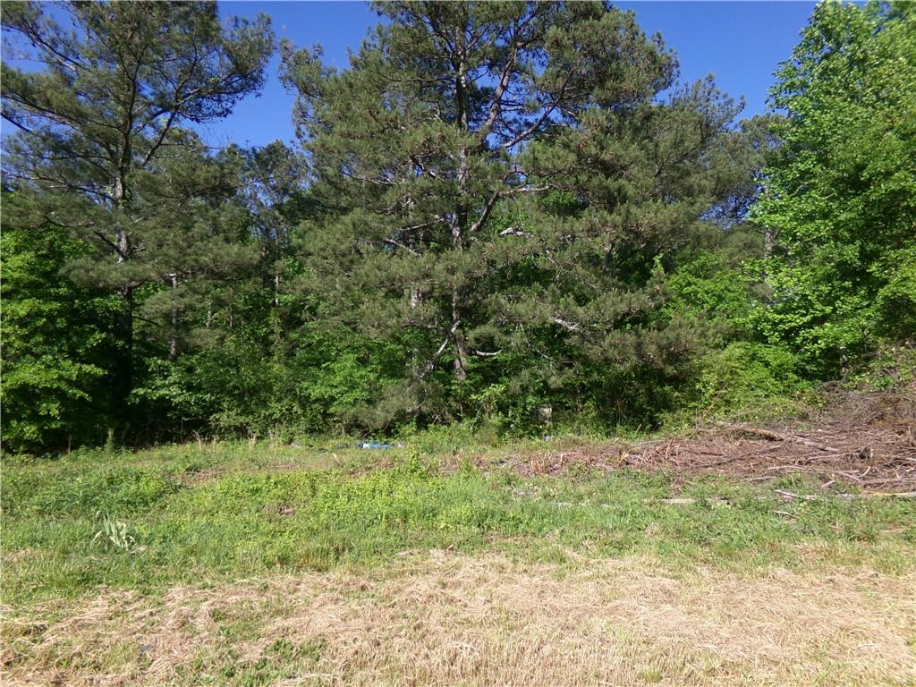 3905 Highway 138 Covington, GA 30014 - Photo 11 of 40 a view of a garden