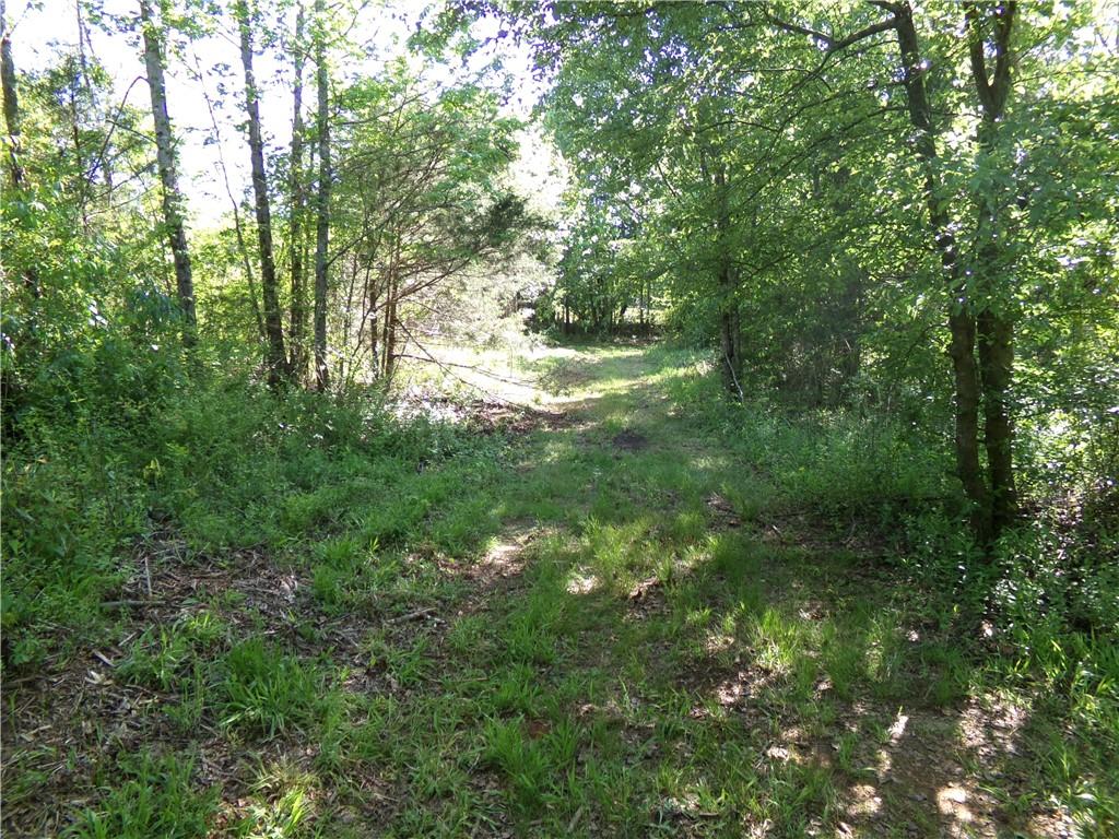 3905 Highway 138 Covington, GA 30014 - Photo 13 of 40 a view of a lush green forest