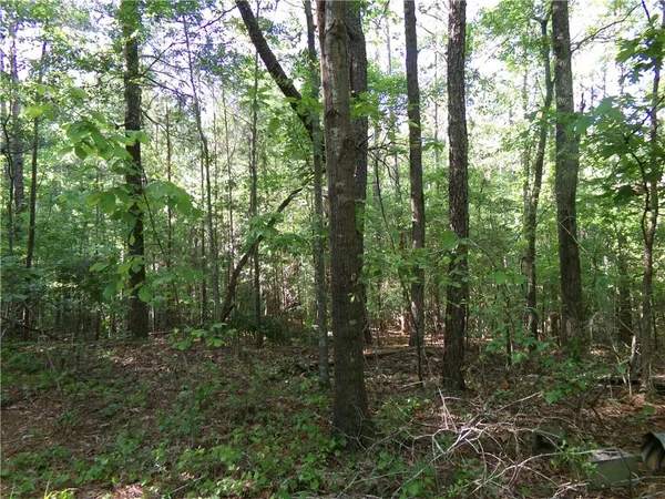 a view of outdoor space and green space
