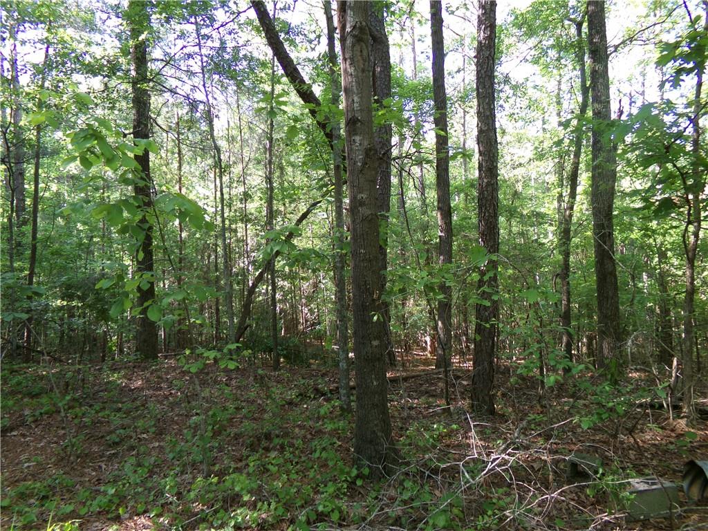 3905 Highway 138 Covington, GA 30014 - Photo 14 of 40 a view of outdoor space and green space