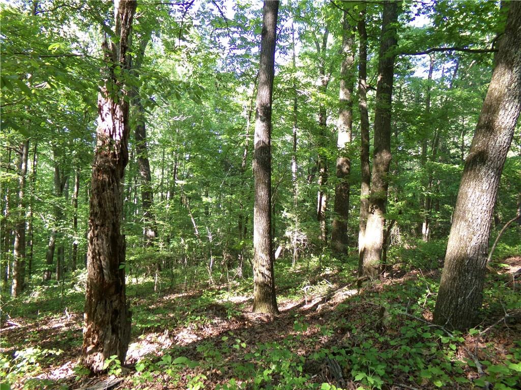 3905 Highway 138 Covington, GA 30014 - Photo 15 of 40 a backyard of a house with lots of trees