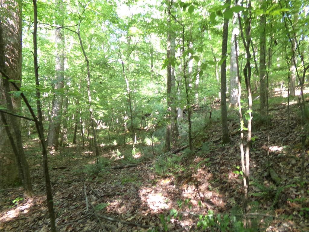 3905 Highway 138 Covington, GA 30014 - Photo 16 of 40