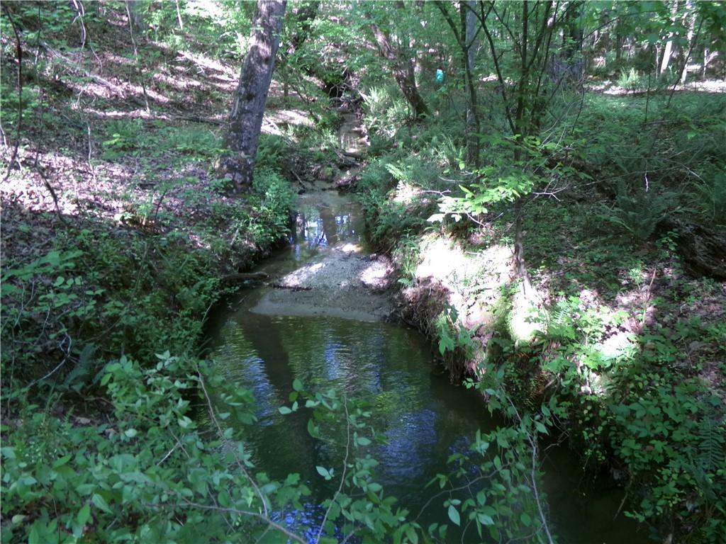 3905 Highway 138 Covington, GA 30014 - Photo 17 of 40 a view of a garden