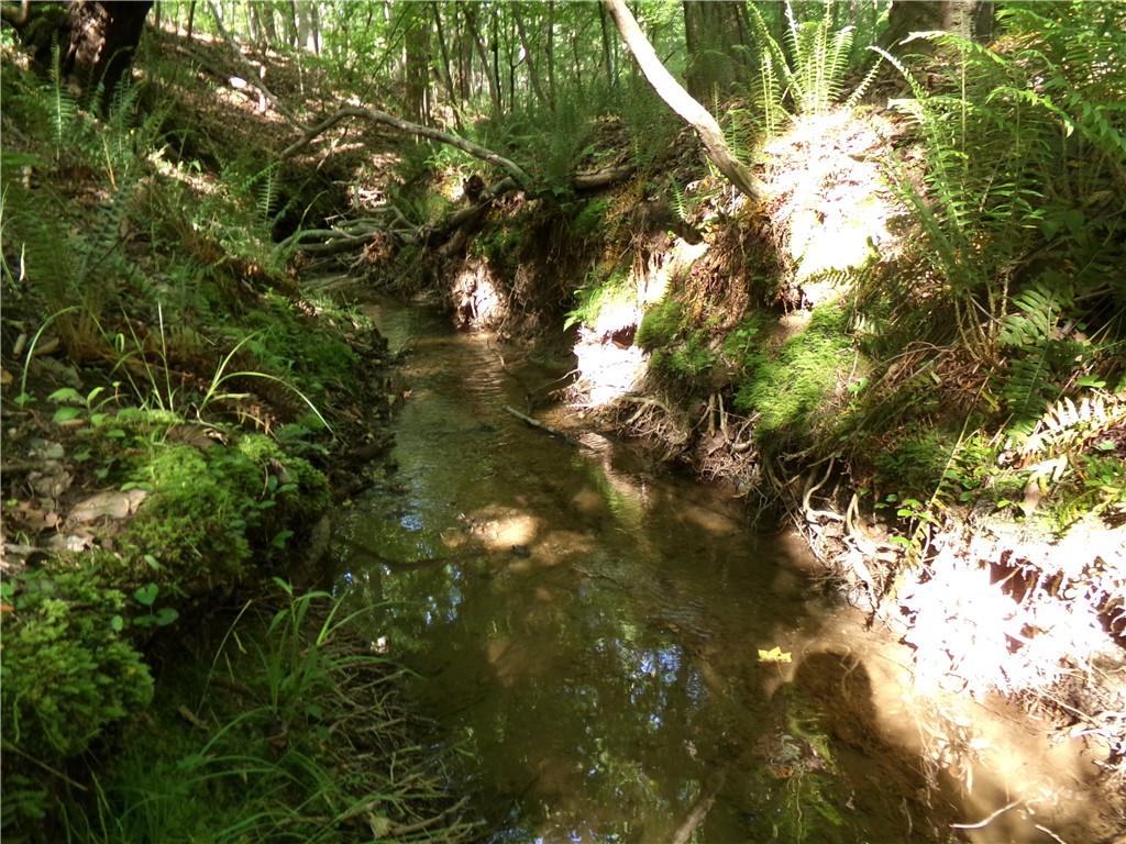 3905 Highway 138 Covington, GA 30014 - Photo 18 of 40 a picture of tree