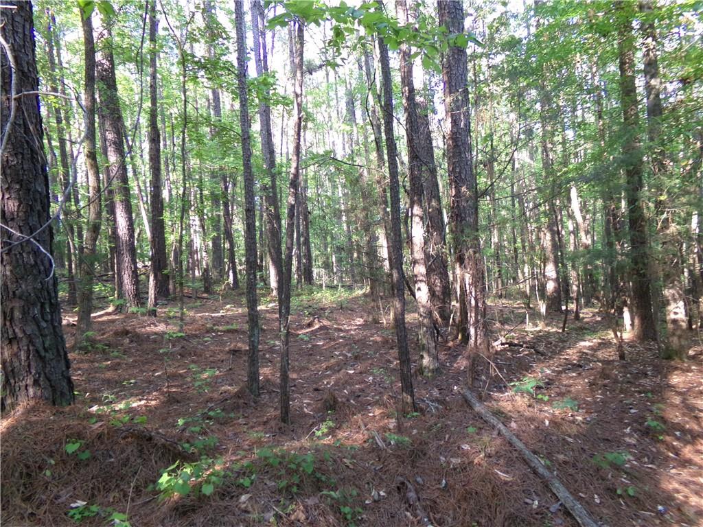 3905 Highway 138 Covington, GA 30014 - Photo 19 of 40 a view of forest