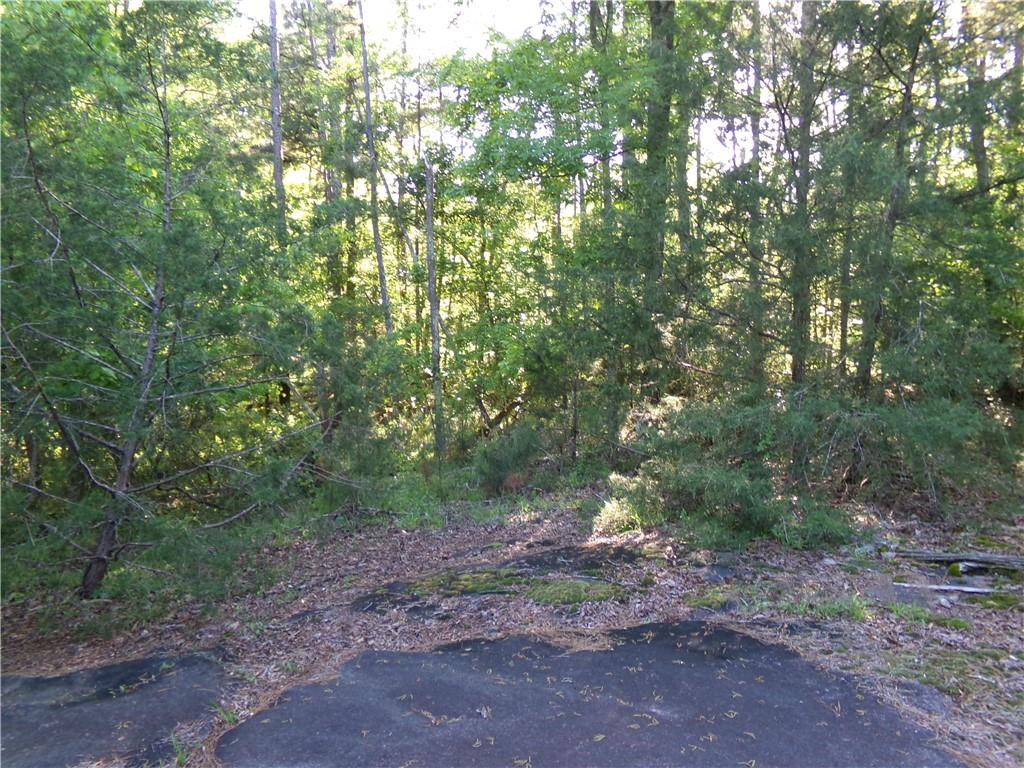 3905 Highway 138 Covington, GA 30014 - Photo 21 of 40 a view of a forest