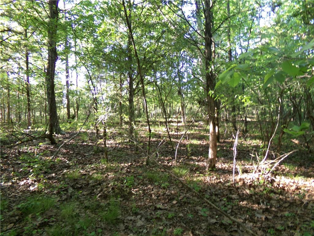 3905 Highway 138 Covington, GA 30014 - Photo 22 of 40 a view of yard with green space