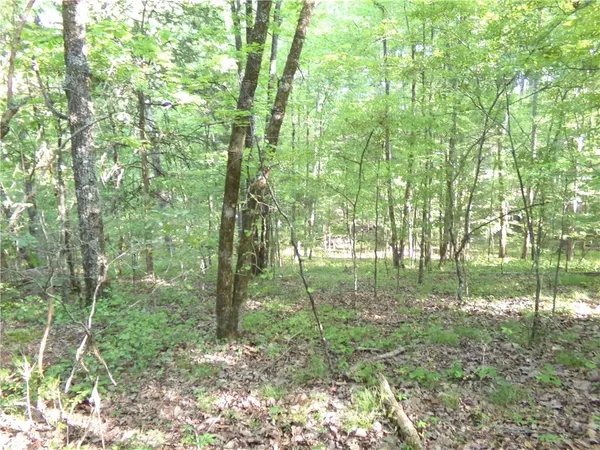 a view of outdoor space and green space