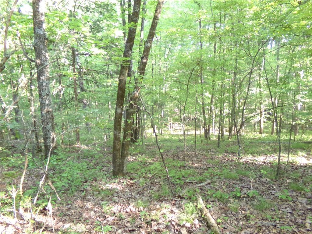 3905 Highway 138 Covington, GA 30014 - Photo 23 of 40 a view of outdoor space and trees