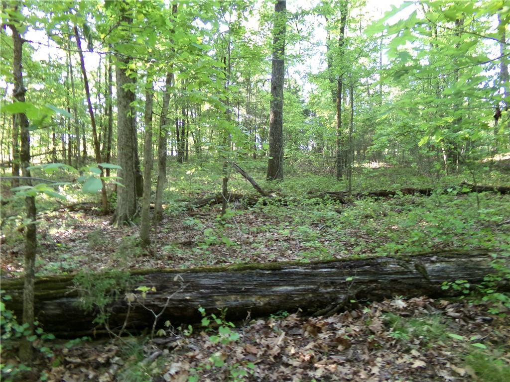3905 Highway 138 Covington, GA 30014 - Photo 24 of 40 a view of outdoor space and green space
