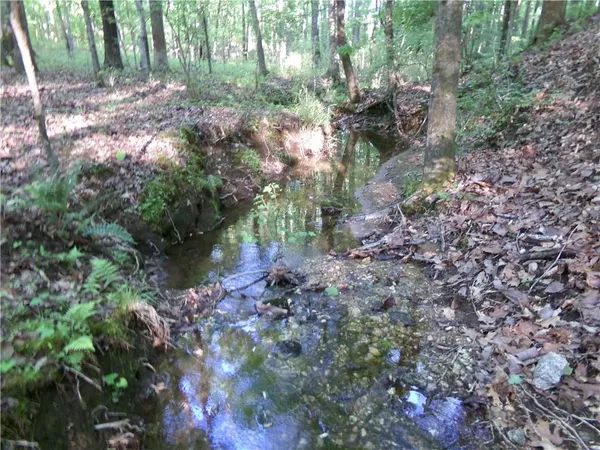 a view of lake with green space