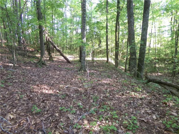 a view of outdoor space and green space