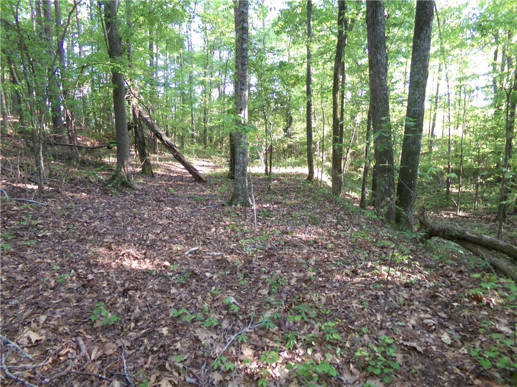 3905 Highway 138 Covington, GA 30014 - Photo 30 of 40 a view of outdoor space and green space