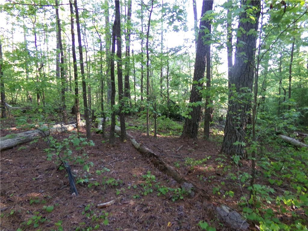 3905 Highway 138 Covington, GA 30014 - Photo 31 of 40 a view of outdoor space and green space