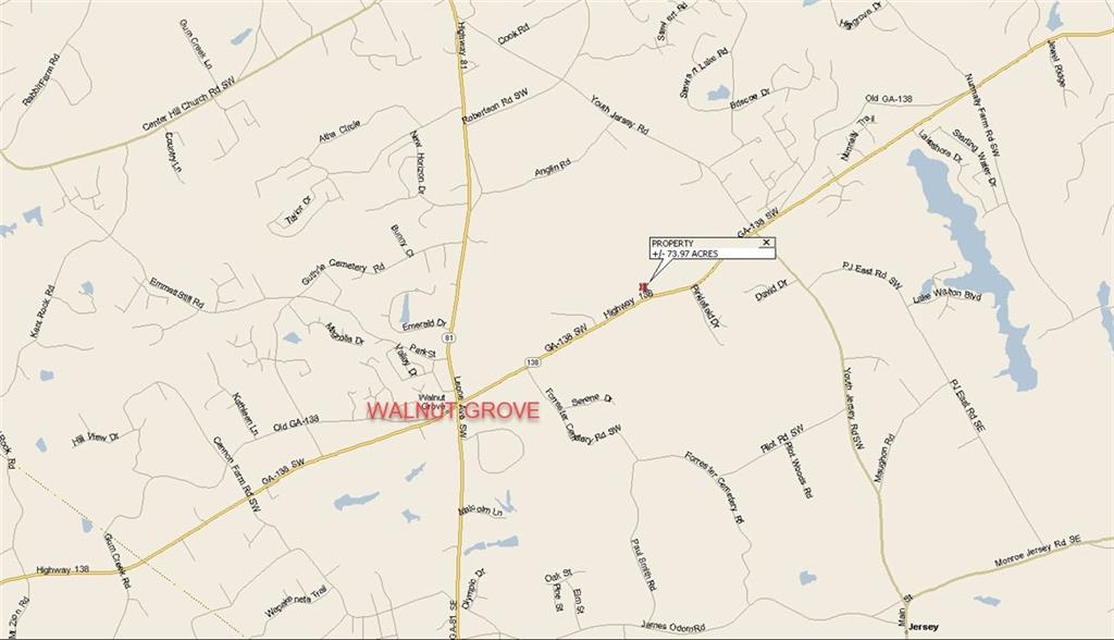 3905 Highway 138 Covington, GA 30014 - Photo 40 of 40