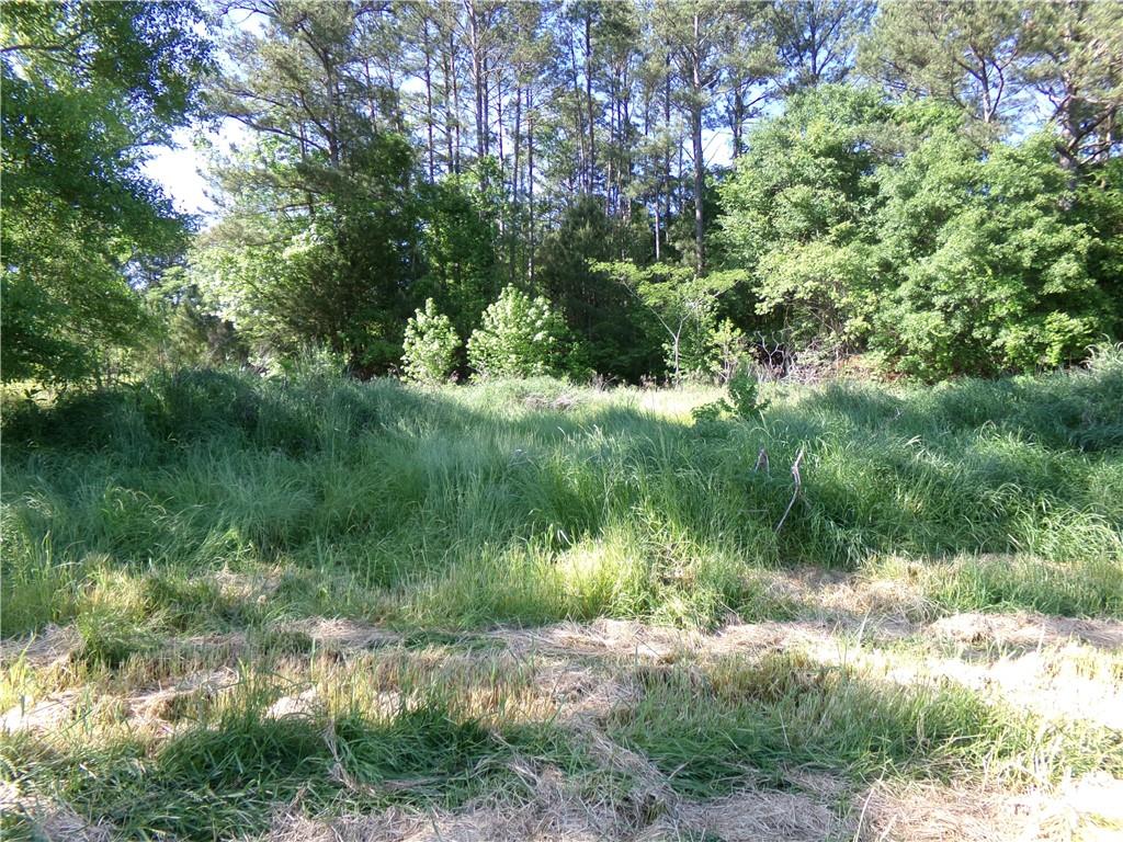 3905 Highway 138 Covington, GA 30014 - Photo 5 of 40 a view of a lush green forest with lots of trees