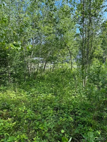 $85,000 | 5-11 Belva Boulevard, Hastings, NY 13076