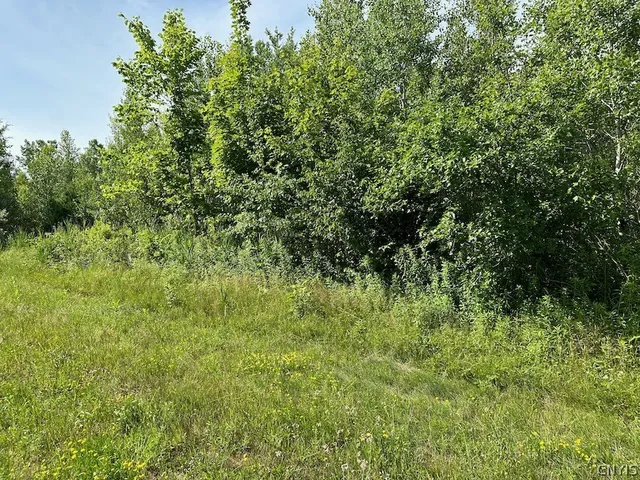 $85,000 | 5-11 Belva Boulevard, Hastings, NY 13076