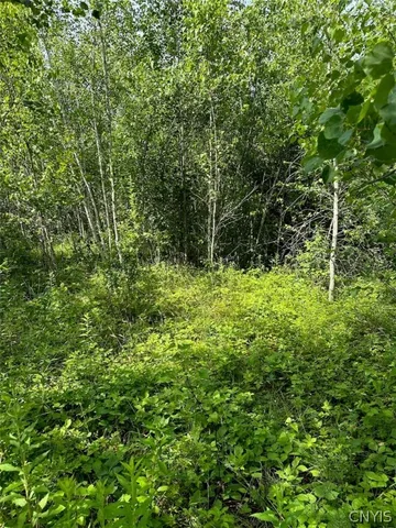 $85,000 | 5-11 Belva Boulevard, Hastings, NY 13076