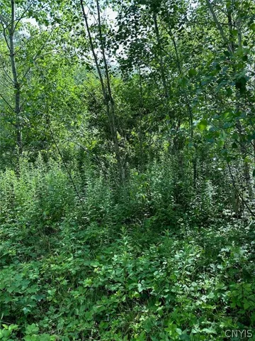 $85,000 | 5-11 Belva Boulevard, Hastings, NY 13076