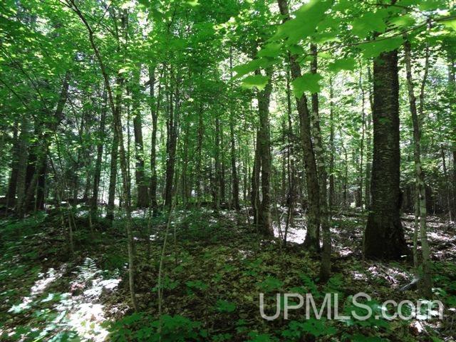 192 Tamarack Lake Road Iron River, MI 49935 - Photo 17 of 23