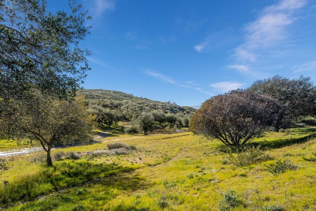 589 Anderson Road Alpine, CA 91901 - Photo 11 of 54 a view of a yard with an outdoor space