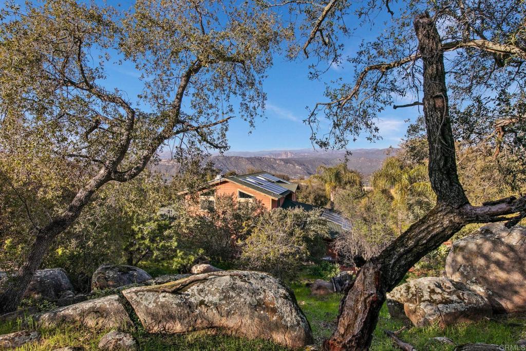 589 Anderson Road Alpine, CA 91901 - Photo 46 of 54 a view of a tree with a yard
