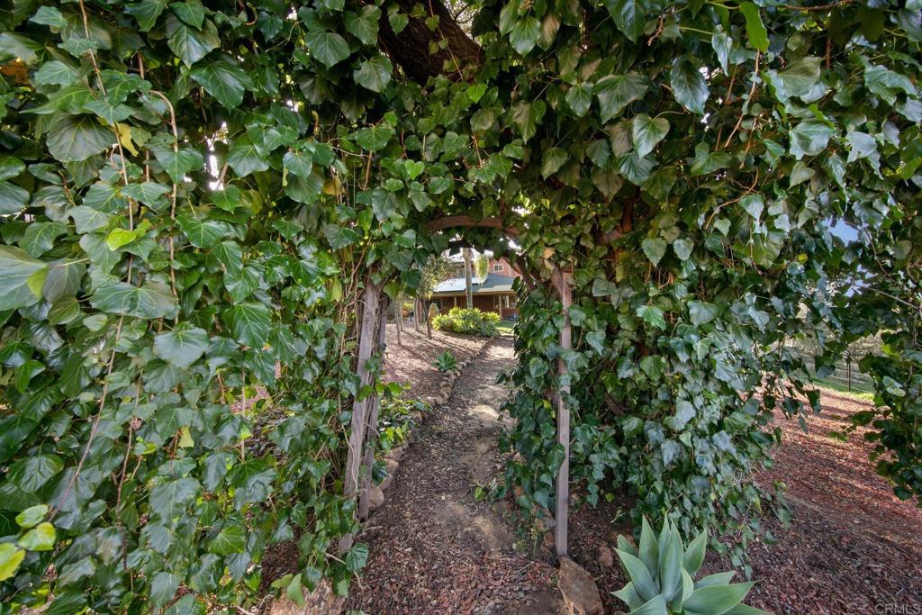 589 Anderson Road Alpine, CA 91901 - Photo 48 of 54 a backyard of a house with lots of green space