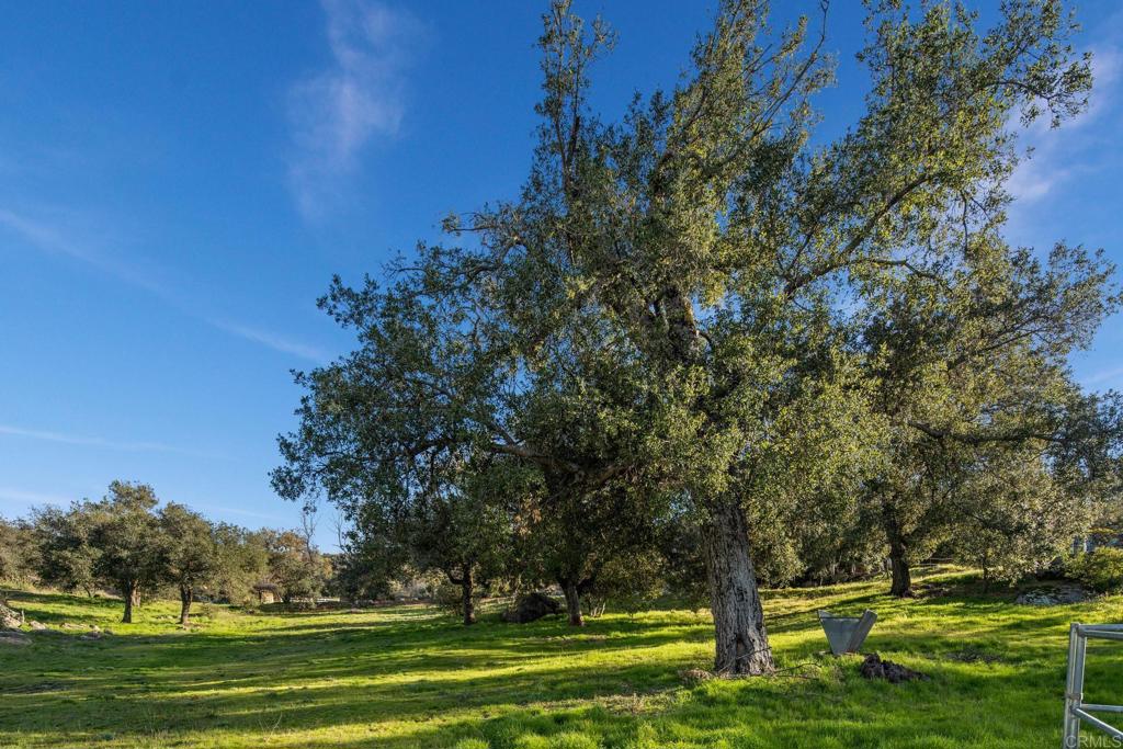 589 Anderson Road Alpine, CA 91901 - Photo 50 of 54 a view of a golf course