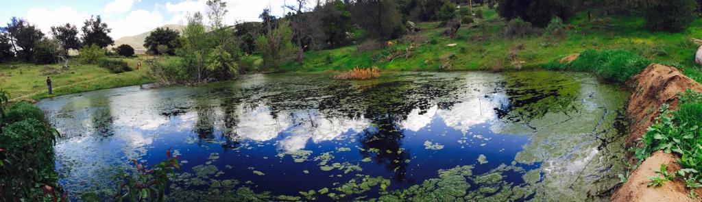589 Anderson Road Alpine, CA 91901 - Photo 53 of 54 a view of a yard
