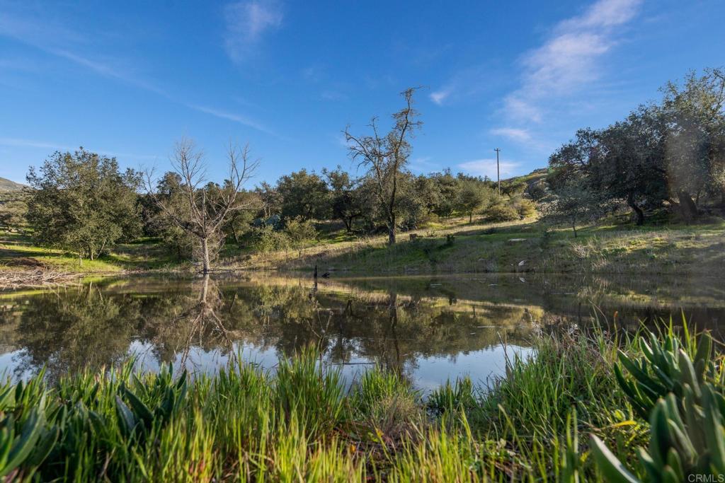 589 Anderson Road Alpine, CA 91901 - Photo 10 of 54 a view of lake with green space