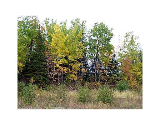 Lot 49 Ludlow Road Houlton, ME 04730 - Photo 9 of 20 Land.