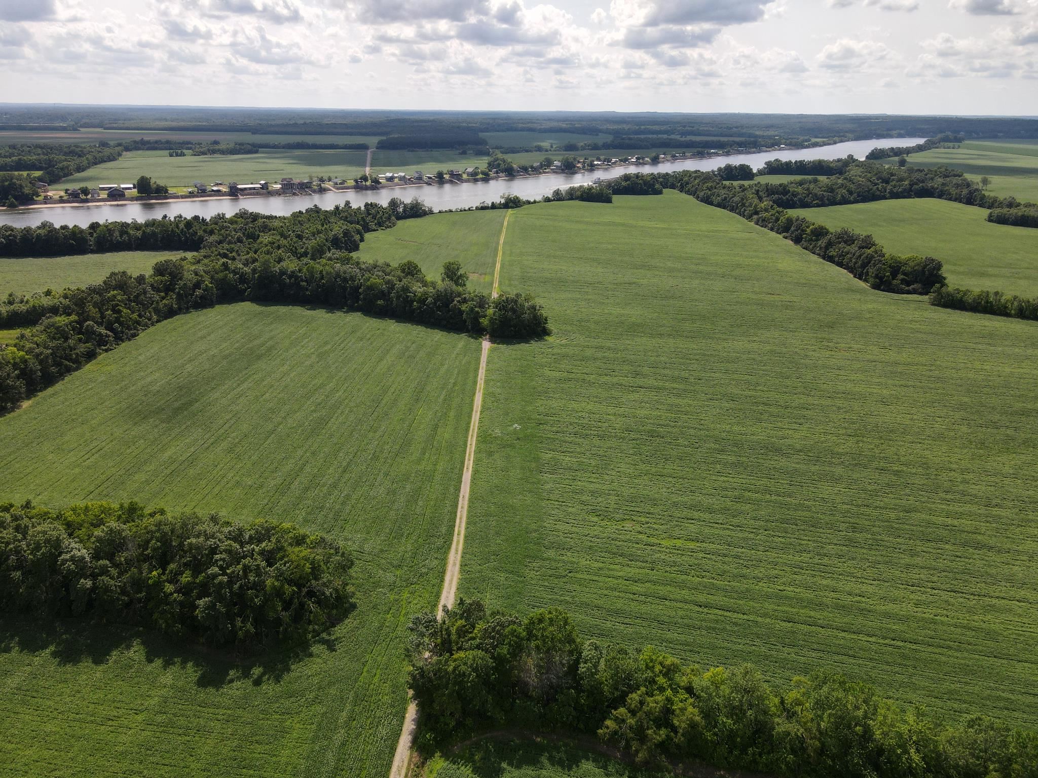 859 Cravens Road Savannah, TN 38372 - Photo 13 of 40 a view of a lake with a city
