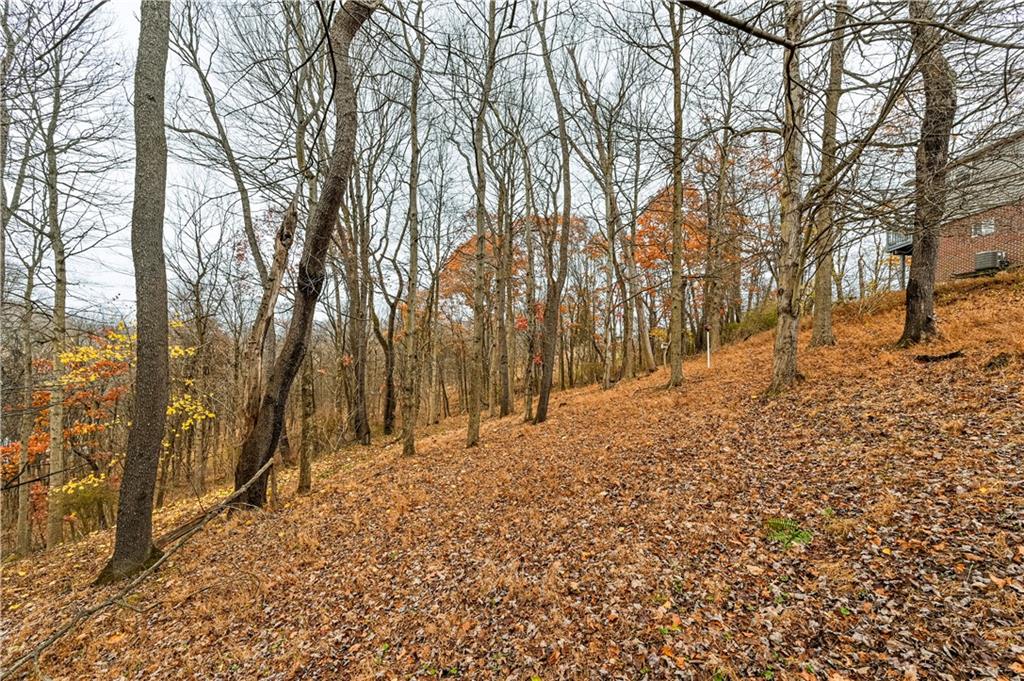 303 Mt Manor Road Manor, PA 15665 - Photo 11 of 43 Gallery Image 11