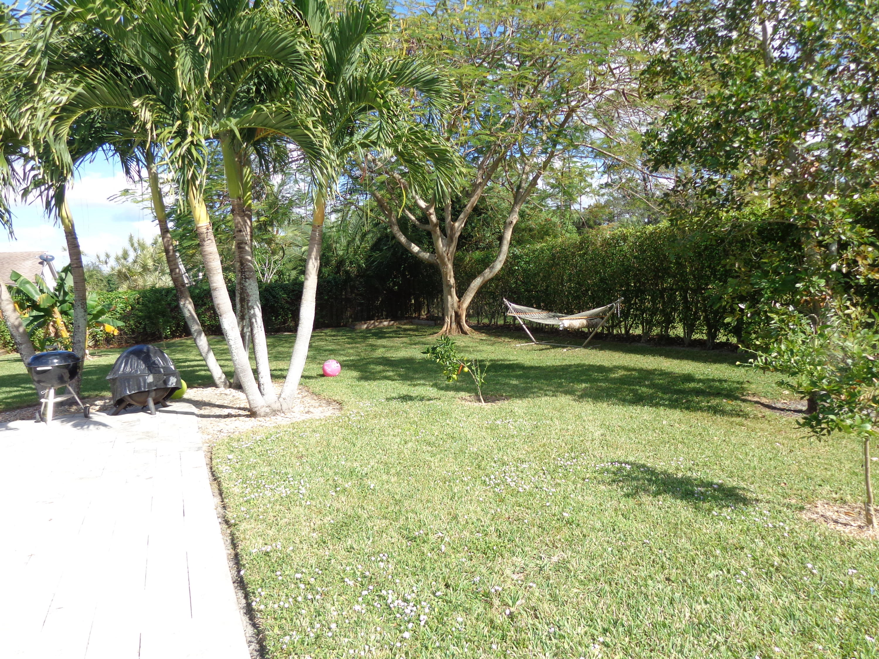 398 Old Country Road South Wellington, FL 33414 - Photo 25 of 26 Yard