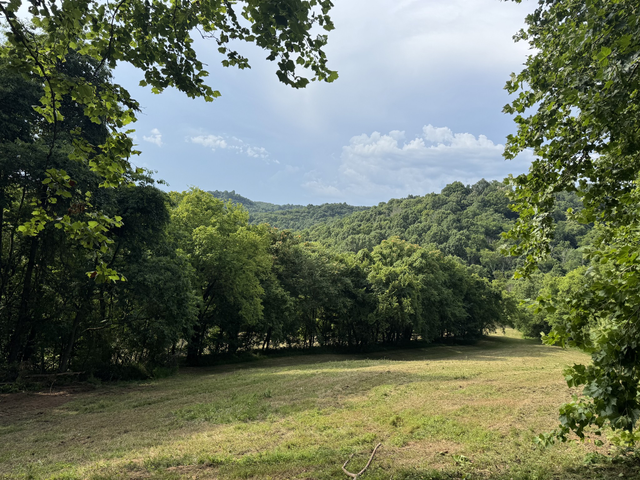 0 Sorrells Road Petersburg, TN 37144 - Photo 35 of 44 Gallery Image 35