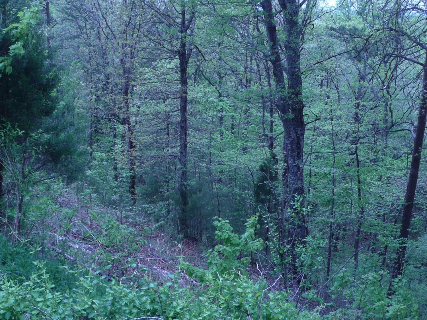600 Hidden Valley Road Clay City, KY 40312 - Photo 13 of 35 Photo 13