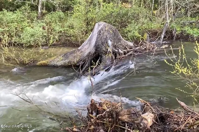 $4,995,000 | Nka Jenny Lane, Sandpoint, ID 83864