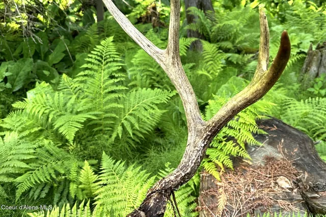 $4,995,000 | Nka Jenny Lane, Sandpoint, ID 83864