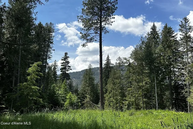 $4,995,000 | Nka Jenny Lane, Sandpoint, ID 83864