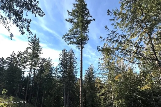 $4,995,000 | Nka Jenny Lane, Sandpoint, ID 83864