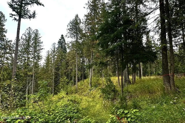 $4,995,000 | Nka Jenny Lane, Sandpoint, ID 83864