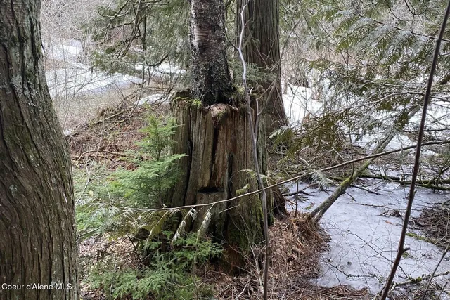 $4,995,000 | Nka Jenny Lane, Sandpoint, ID 83864