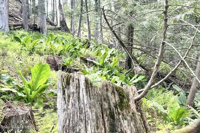 $4,995,000 | Nka Jenny Lane, Sandpoint, ID 83864