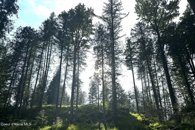 $4,995,000 | Nka Jenny Lane, Sandpoint, ID 83864