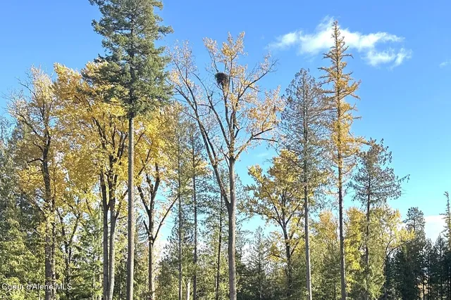 $4,995,000 | Nka Jenny Lane, Sandpoint, ID 83864