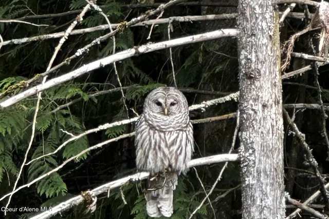 $4,995,000 | Nka Jenny Lane, Sandpoint, ID 83864