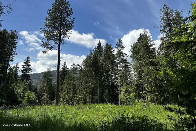 $4,995,000 | Nka Jenny Lane, Sandpoint, ID 83864
