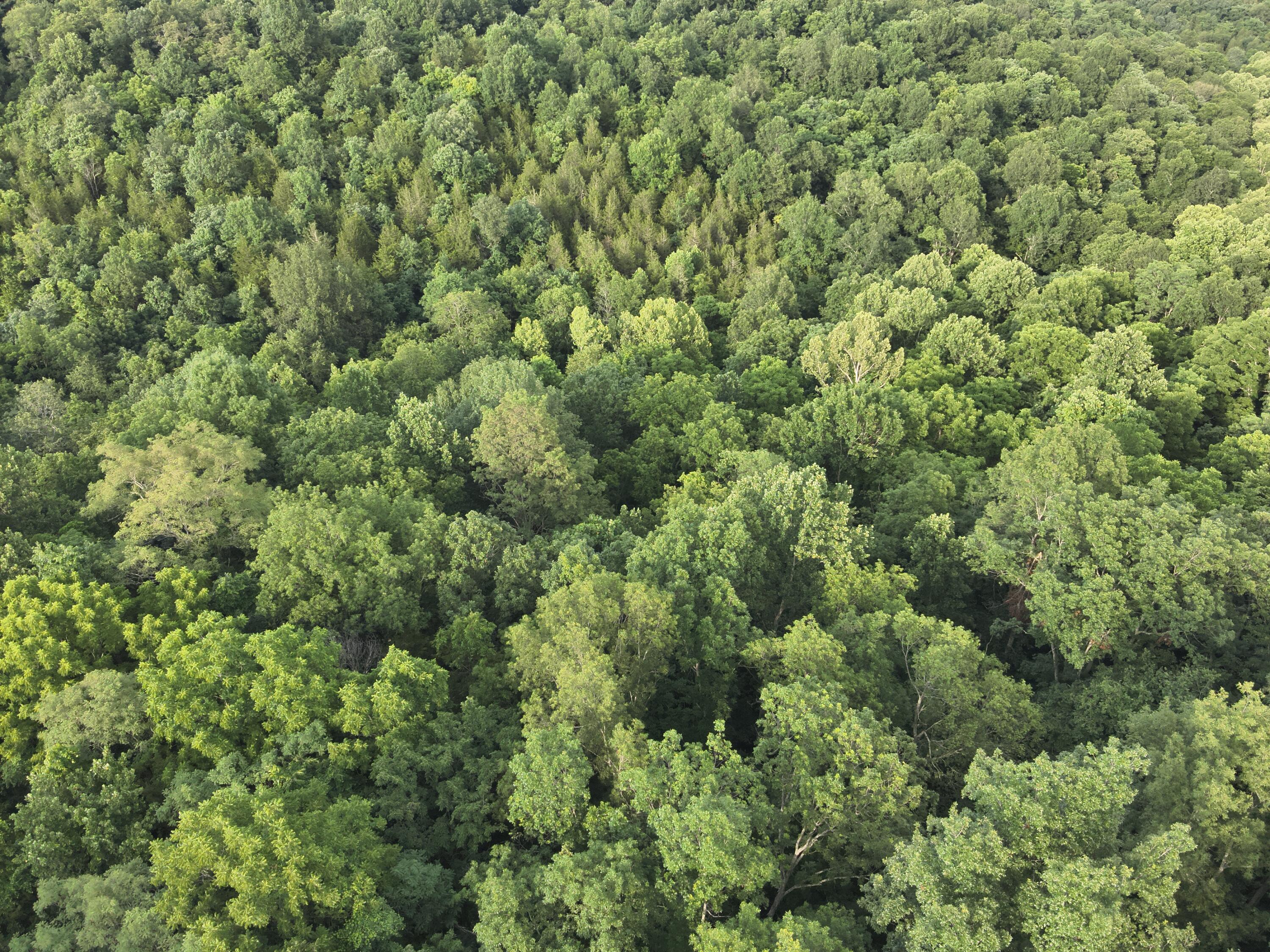 DJI_20260707191030_0006_V