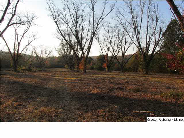 392 4 Mile Church Road, Unit 40 AC Anniston, AL 36206 - Photo 6 of 12